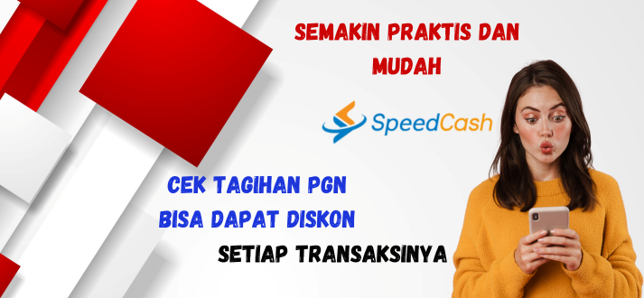 Cek tagihan PGN bulan ini