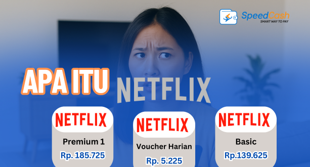 apa itu netflix