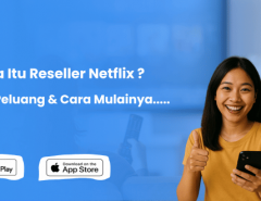 Apa Itu Reseller Netflix